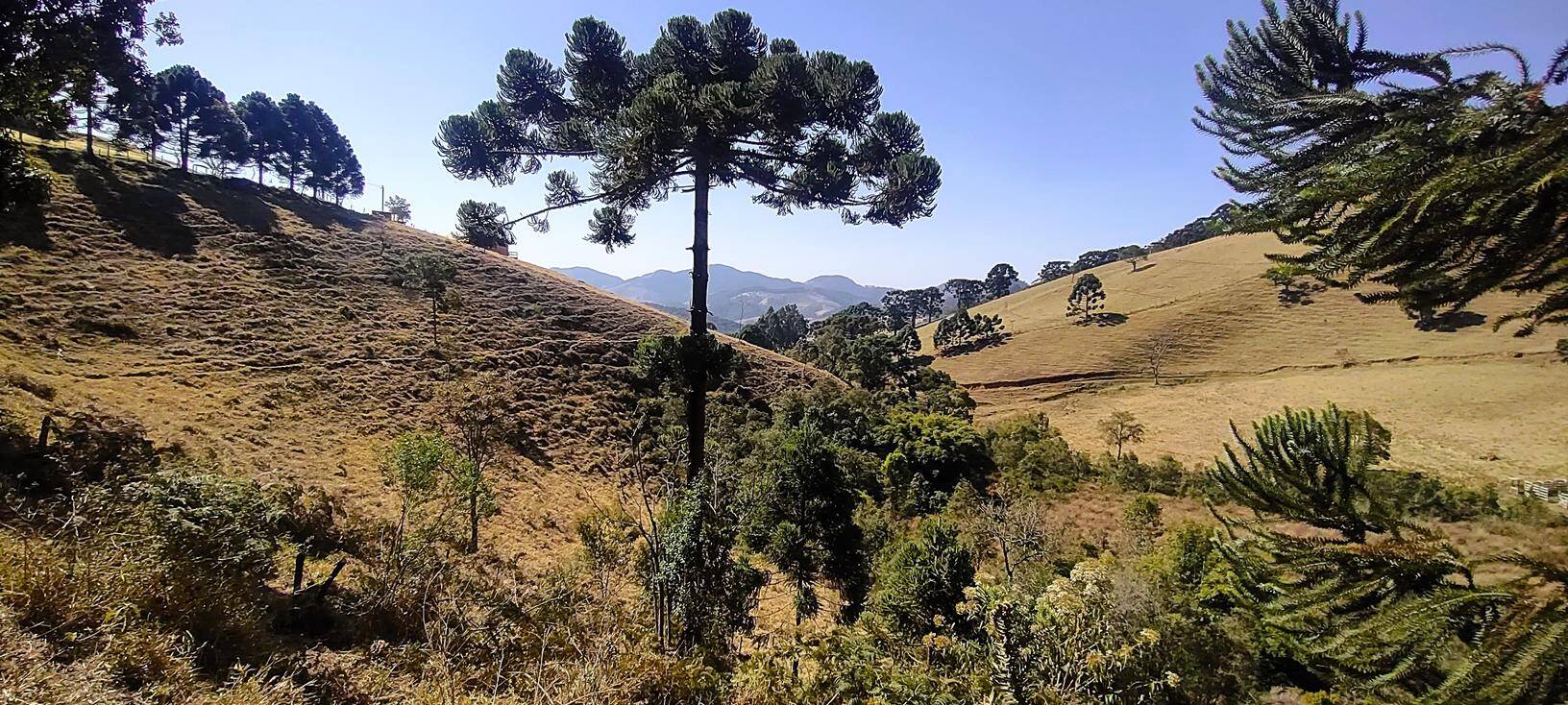 #240 - Terreno Rural para Venda em Gonçalves - MG