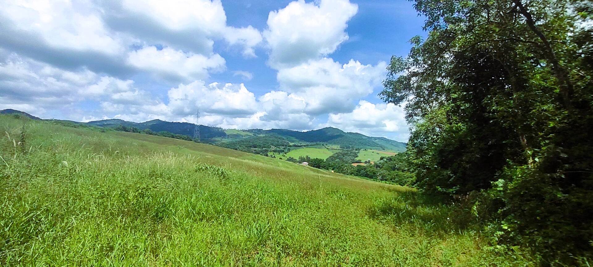 #238 - Terreno Rural para Venda em Brasópolis - MG