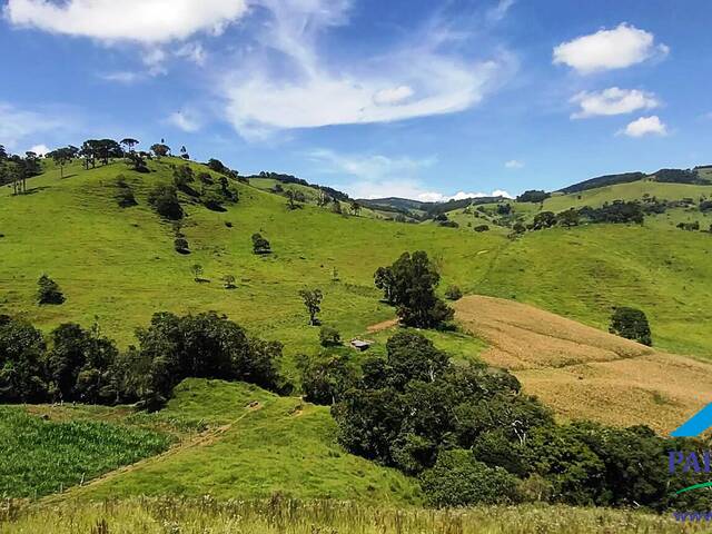 #163 - Terreno Rural para Venda em Paraisópolis - MG - 2