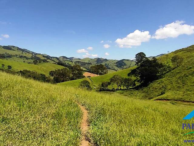 Venda em Centro - Paraisópolis