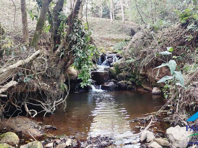 #180 - Chácara para Venda em Paraisópolis - MG - 2