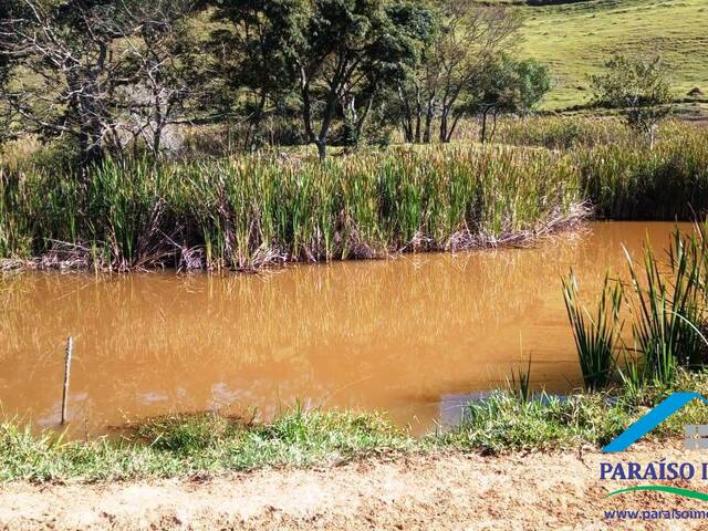 #181 - Terreno Rural para Venda em Cachoeira de Minas - MG - 1