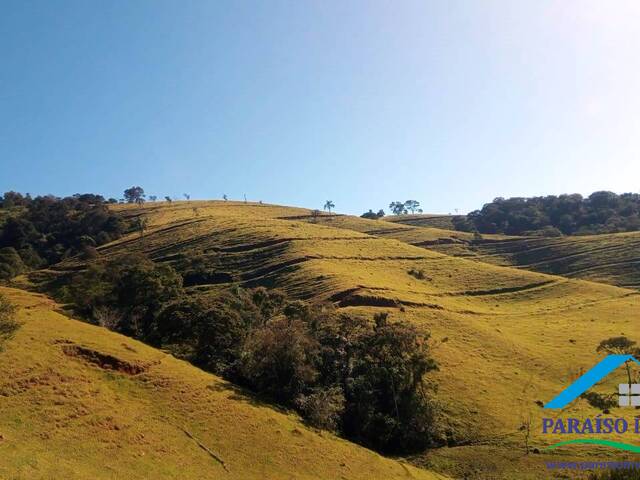 #181 - Terreno Rural para Venda em Cachoeira de Minas - MG - 3