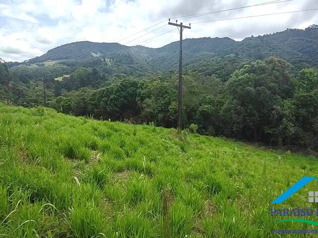 #184 - Terreno Rural para Venda em Camanducaia - MG - 1