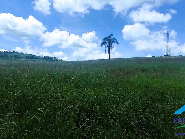 #192 - Terreno Rural para Venda em Brasópolis - MG - 1