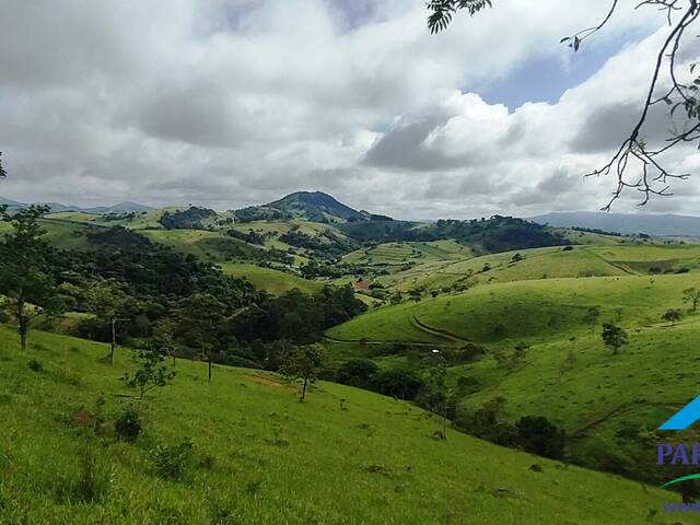 Venda em Centro - Paraisópolis