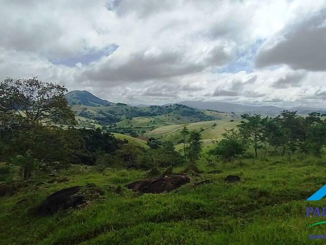 #195 - Terreno Rural para Venda em Paraisópolis - MG - 2