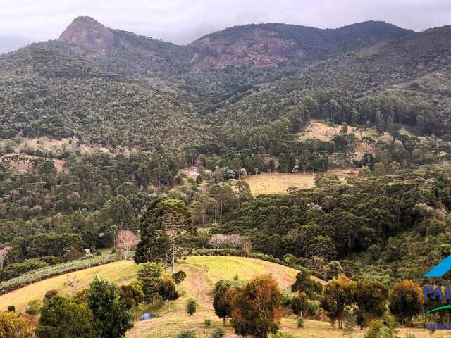 #217 - Terreno Rural para Venda em Gonçalves - MG - 2