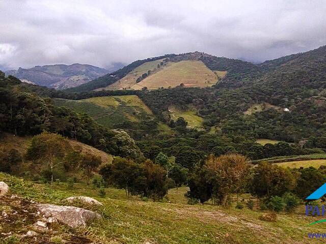 Venda em Centro - Gonçalves