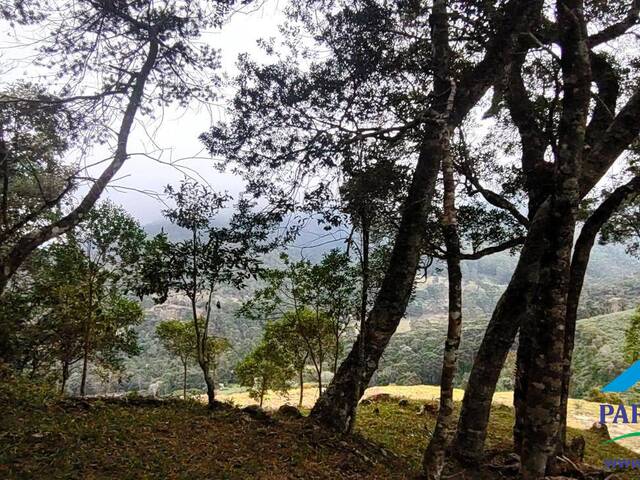 #217 - Terreno Rural para Venda em Gonçalves - MG - 3