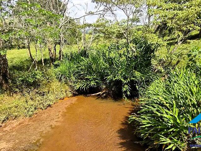 #218 - Terreno Rural para Venda em Paraisópolis - MG - 2