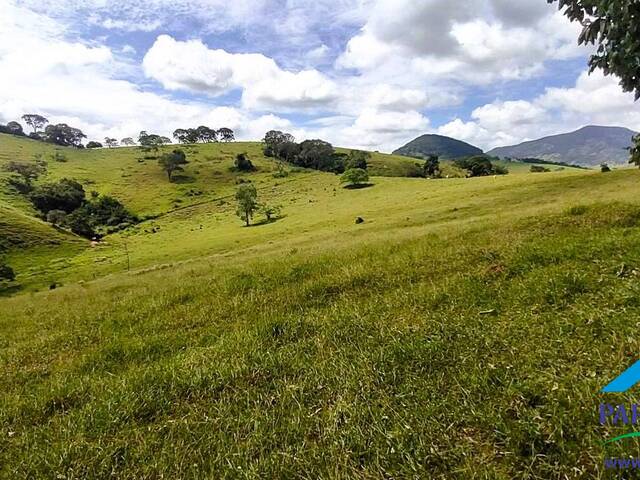 #218 - Terreno Rural para Venda em Paraisópolis - MG - 1