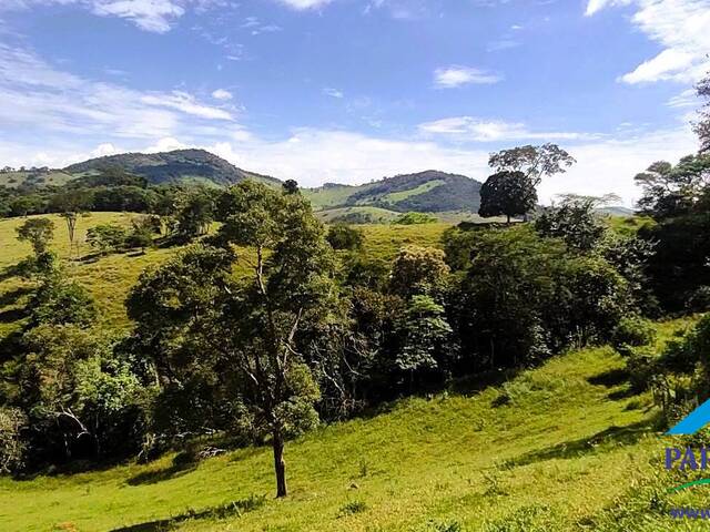 #218 - Terreno Rural para Venda em Paraisópolis - MG - 3