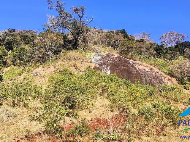 #221 - Terreno Rural para Venda em Paraisópolis - MG - 3