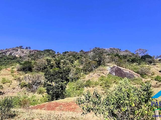 #223 - Terreno Rural para Venda em Paraisópolis - MG - 2