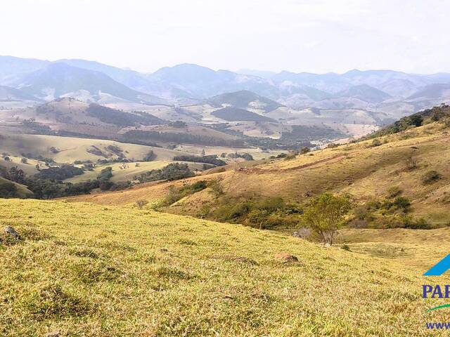 #226 - Terreno Rural para Venda em Paraisópolis - MG - 1