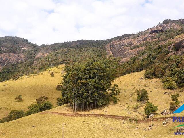 #226 - Terreno Rural para Venda em Paraisópolis - MG - 3