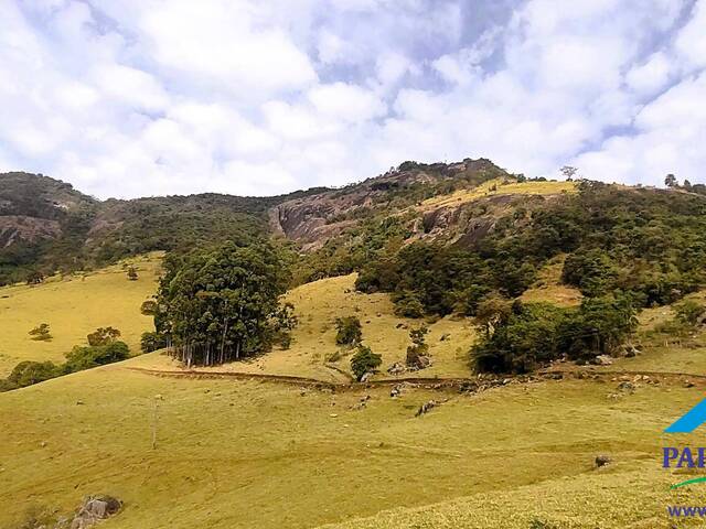 #226 - Terreno Rural para Venda em Paraisópolis - MG - 2