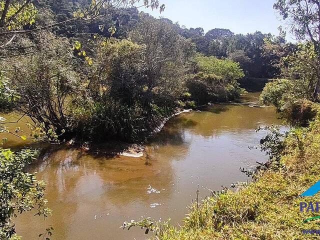 #229 - Fazenda para Venda em Paraisópolis - MG