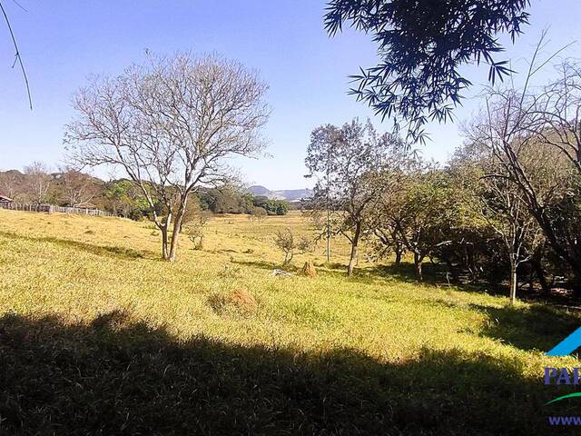 #229 - Fazenda para Venda em Paraisópolis - MG