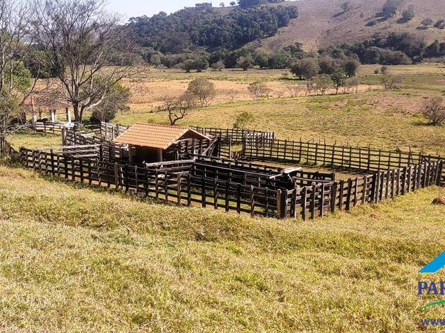 #229 - Fazenda para Venda em Paraisópolis - MG