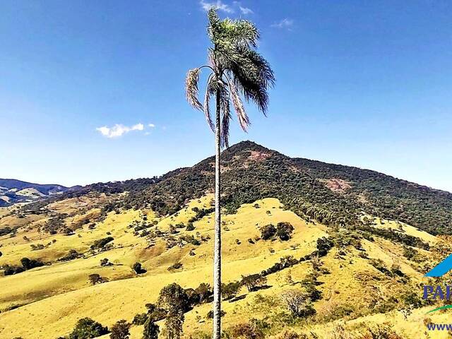 #232 - Terreno Rural para Venda em Paraisópolis - MG - 2