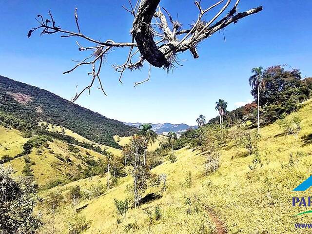 #232 - Terreno Rural para Venda em Paraisópolis - MG - 3