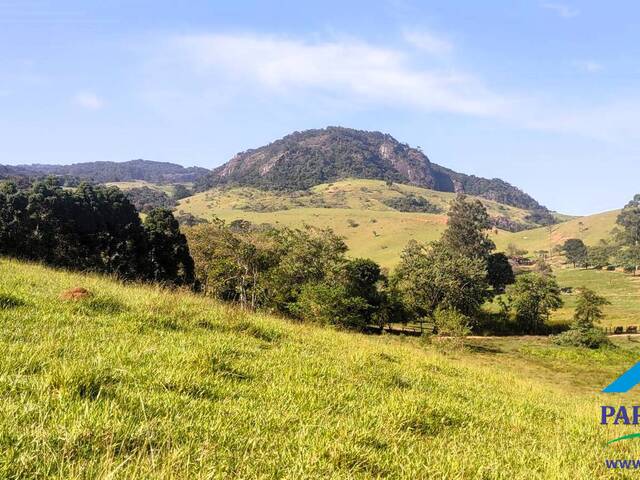 #234 - Terreno Rural para Venda em Paraisópolis - MG - 3