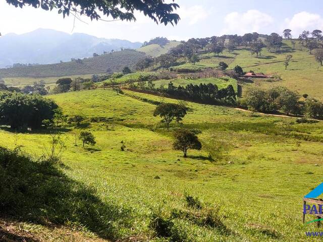 #234 - Terreno Rural para Venda em Paraisópolis - MG - 2