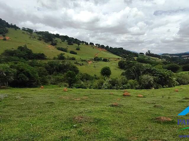 Venda em Centro - Paraisópolis