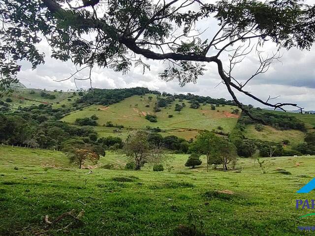 #142 - Terreno Rural para Venda em Paraisópolis - MG