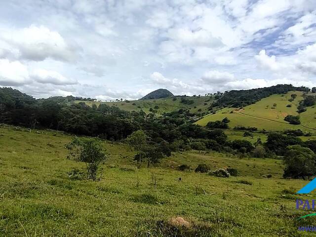 #142 - Terreno Rural para Venda em Paraisópolis - MG