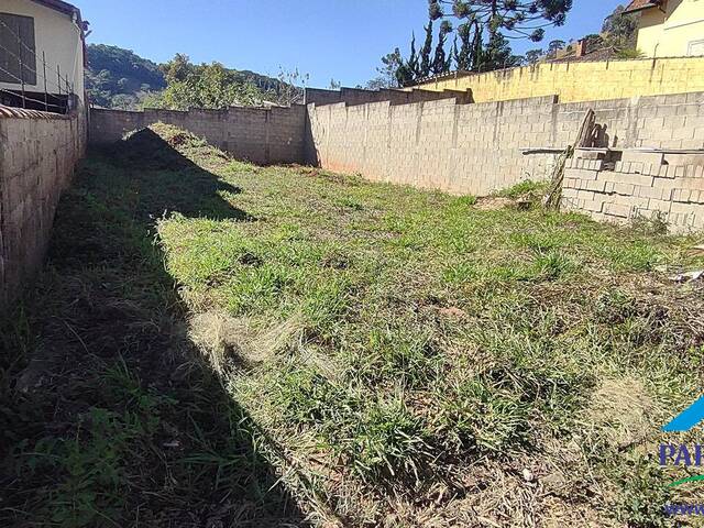 #236 - Terreno para Venda em Paraisópolis - MG - 3