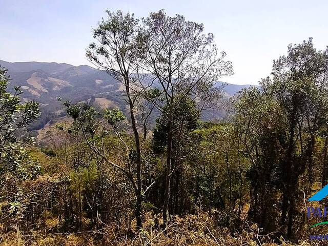 #239 - Terreno Rural para Venda em Gonçalves - MG