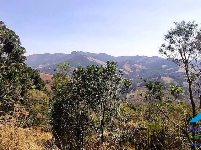 #239 - Terreno Rural para Venda em Gonçalves - MG