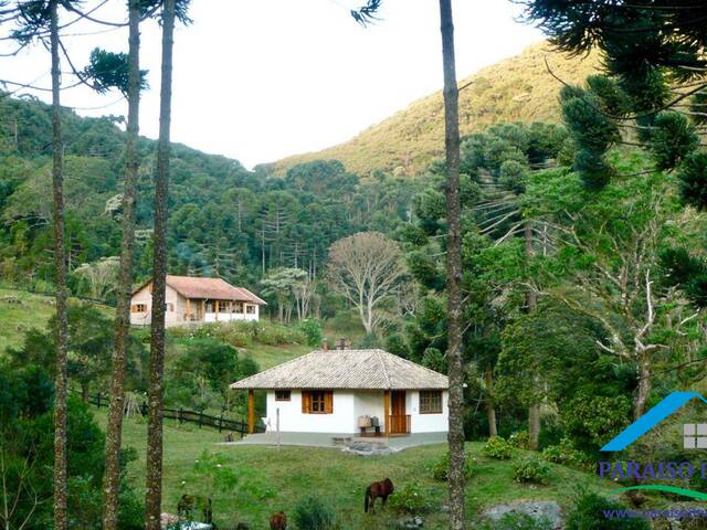 #231 - Terreno Rural para Venda em Sapucaí-Mirim - MG - 3