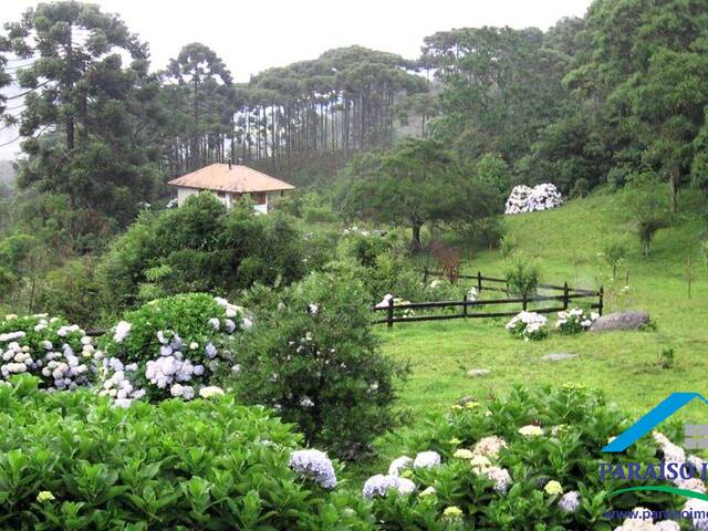 #231 - Terreno Rural para Venda em Sapucaí-Mirim - MG - 1