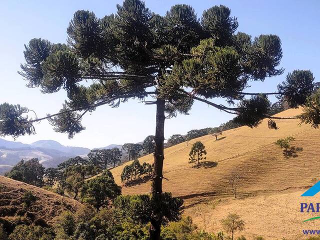 #240 - Terreno Rural para Venda em Gonçalves - MG - 2