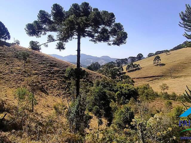 #240 - Terreno Rural para Venda em Gonçalves - MG - 1