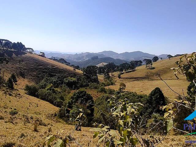 #240 - Terreno Rural para Venda em Gonçalves - MG - 3