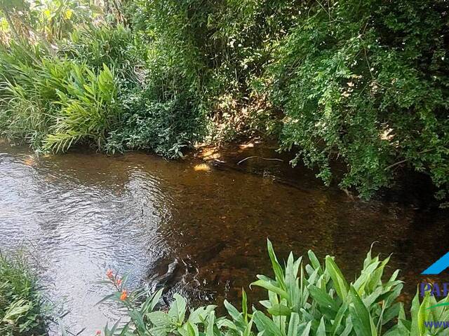 #244 - Chácara para Venda em Sapucaí-Mirim - MG - 3