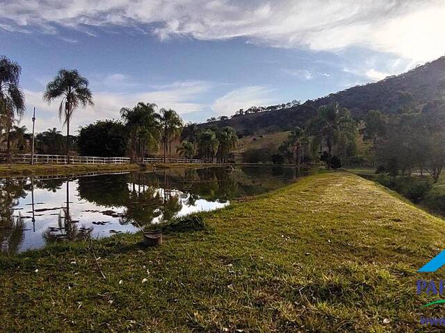 #233 - Terreno Rural para Venda em Paraisópolis - MG - 2