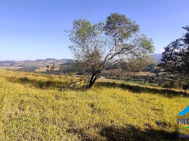 #174 - Terreno Rural para Venda em Conceição dos Ouros - MG - 3