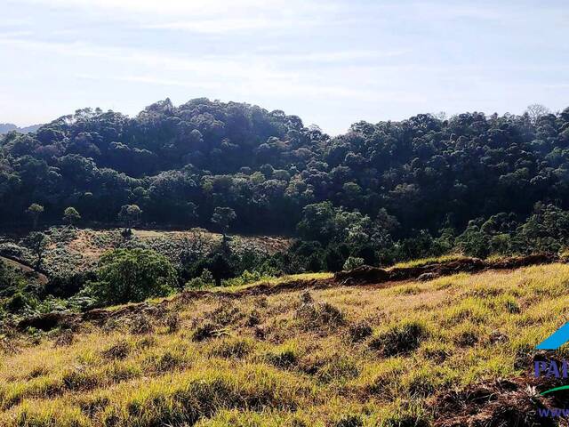 #182 - Terreno Rural para Venda em Gonçalves - MG