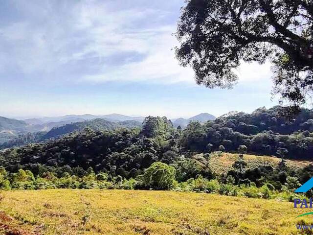 #182 - Terreno Rural para Venda em Gonçalves - MG