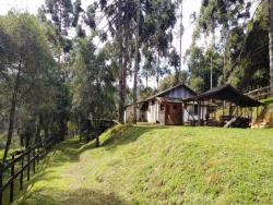 #019 - Terreno Rural para Venda em Gonçalves - MG