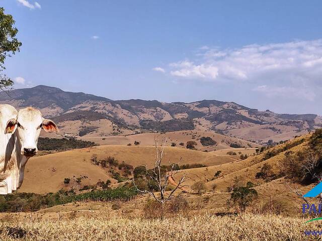 #136 - Terreno Rural para Venda em Consolação - MG - 1