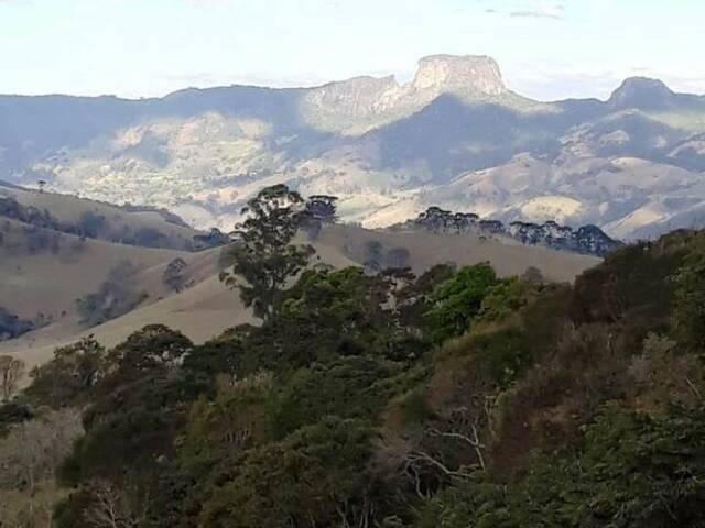 Venda em Centro - Gonçalves