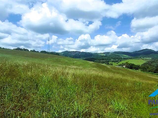 #238 - Terreno Rural para Venda em Brasópolis - MG - 3