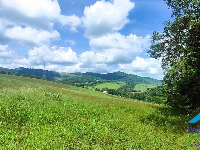 #238 - Terreno Rural para Venda em Brasópolis - MG - 1